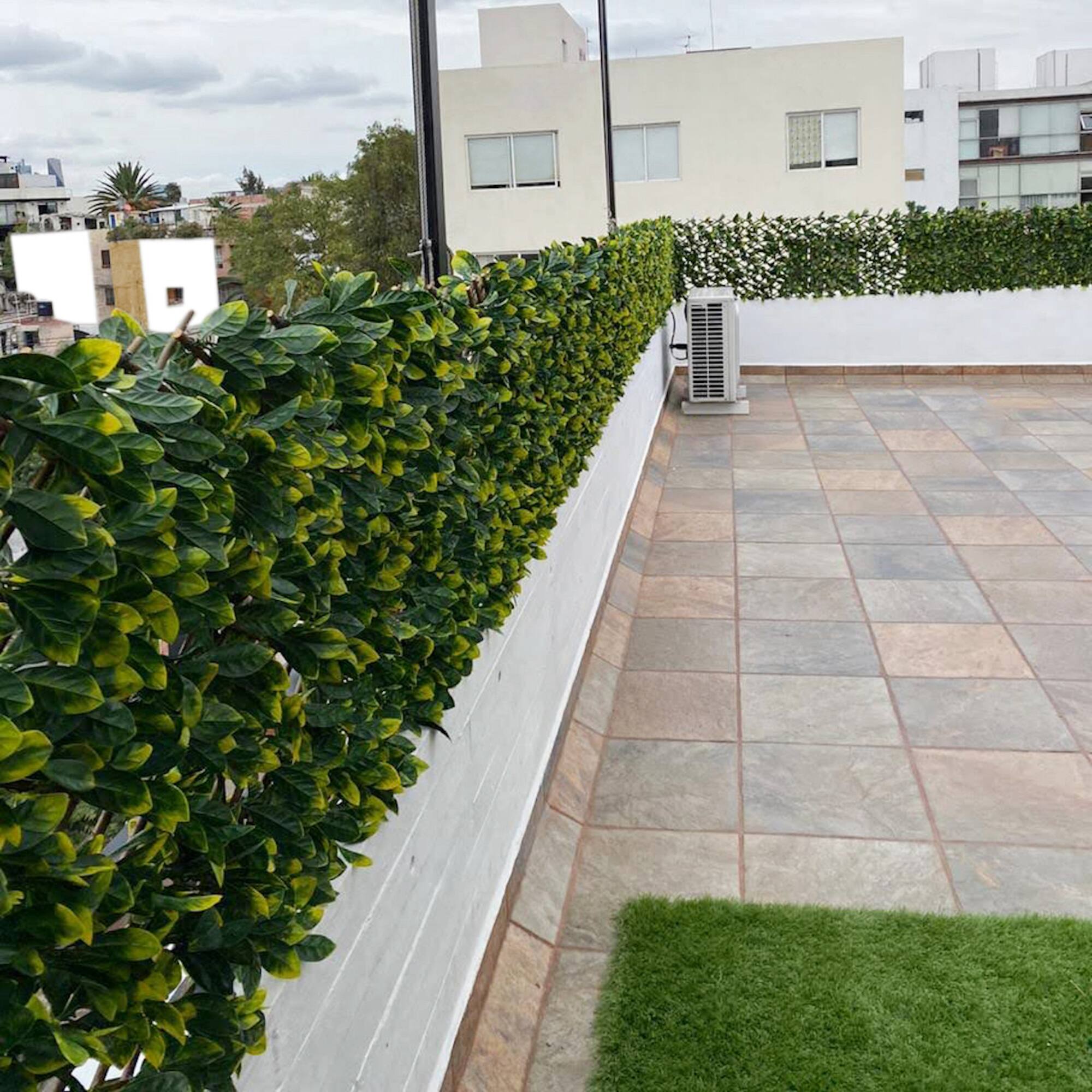 51" Expandable Lemon Leaf Lattice Screen